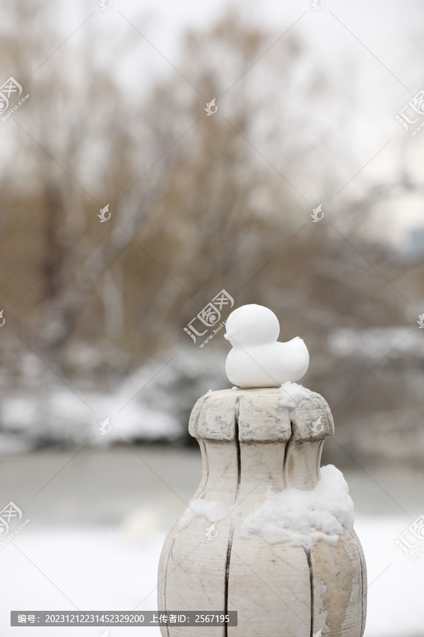 雪景一只小鸭子雪人雪后的湖面