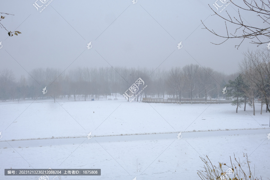 北京奥森雪景