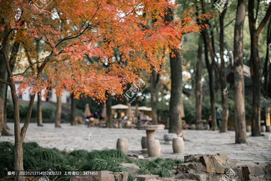 虎丘风景区