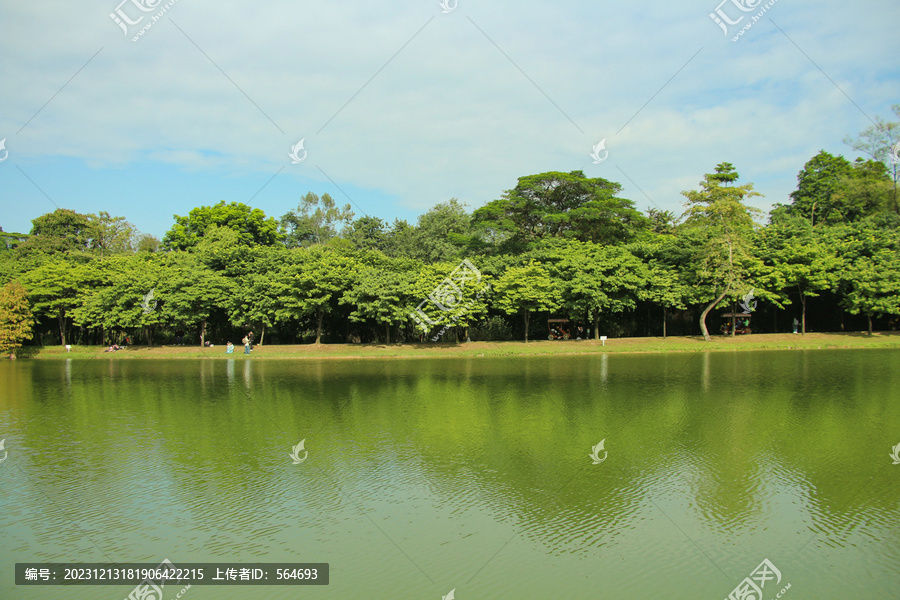 湖畔美景