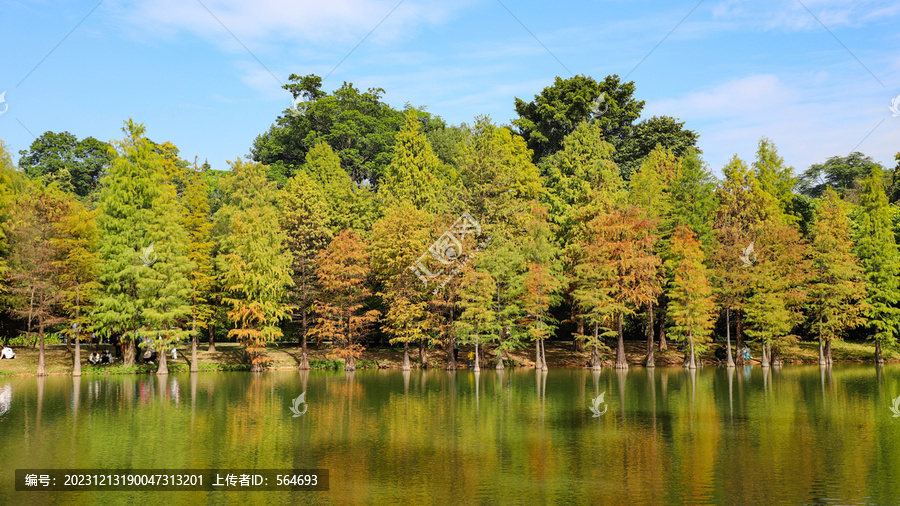 湖畔美景