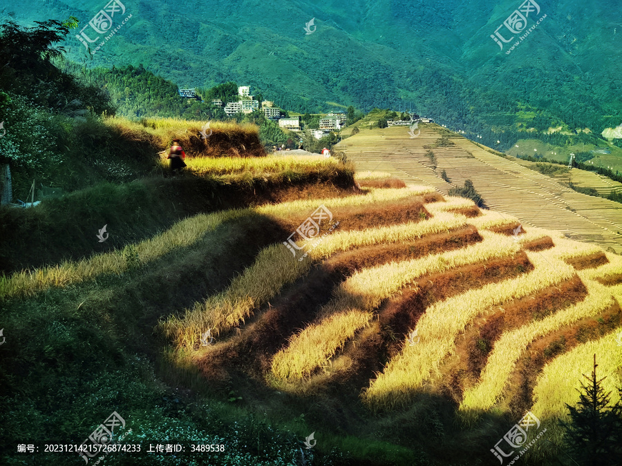 广西龙胜梯田