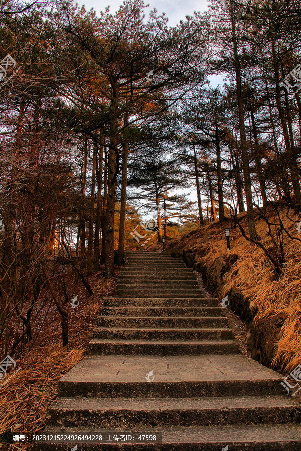 黄山登山路黄山风光