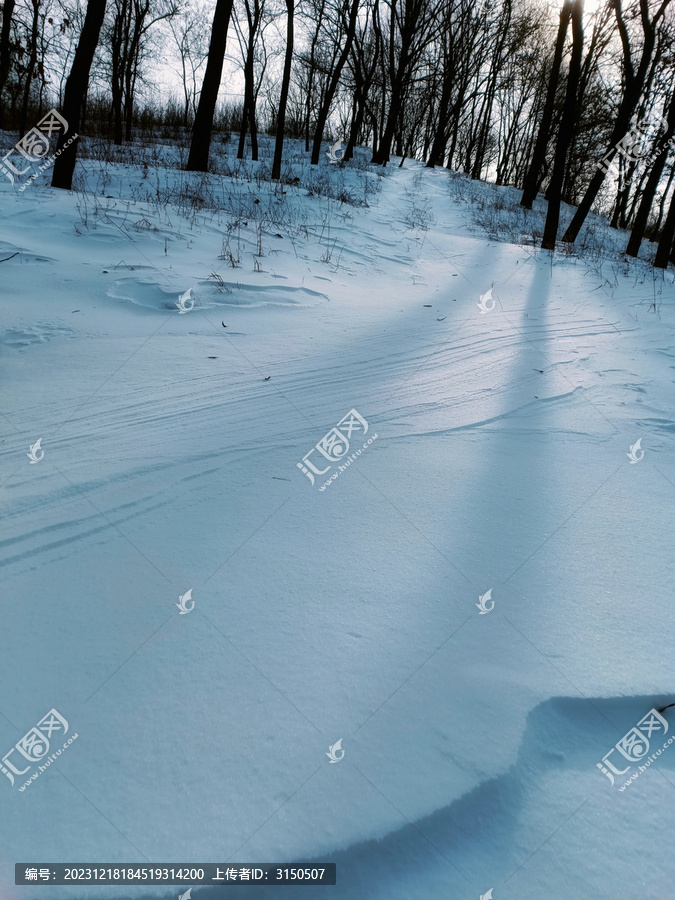 雪地