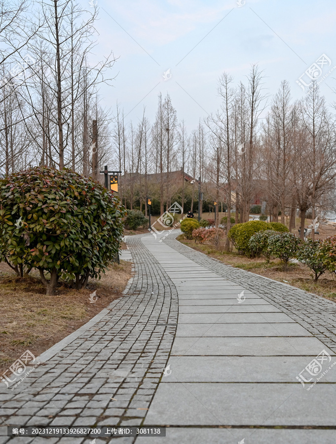 冬天城市花园弯曲小路