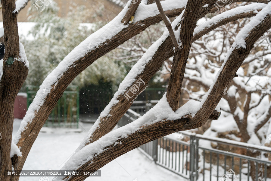 积雪