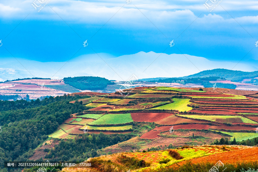 云南东川红土地风景