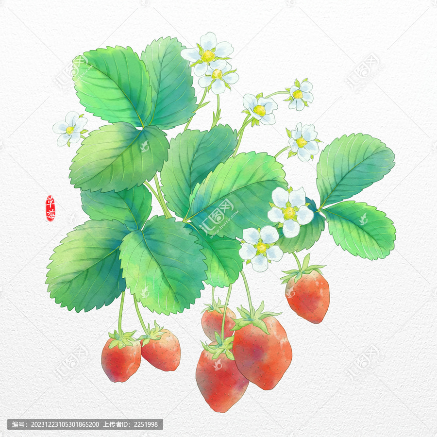 水彩草莓植物