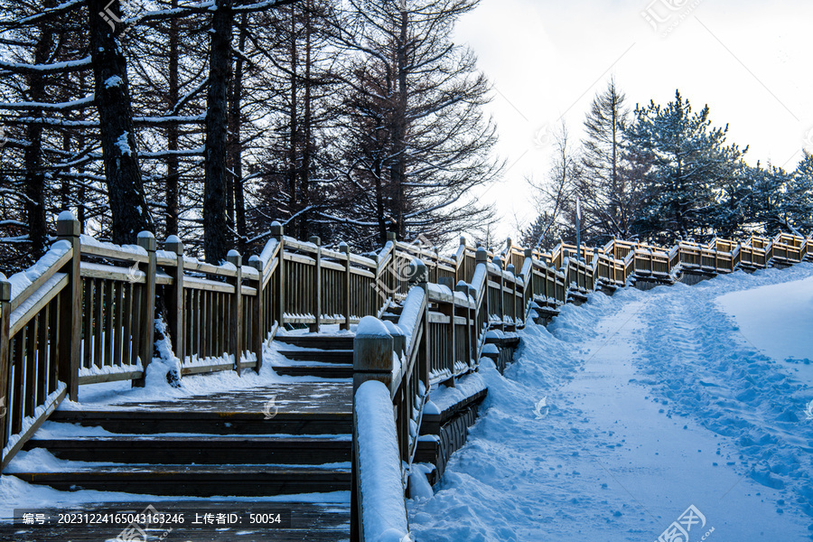 白石山景区木栈道雪景