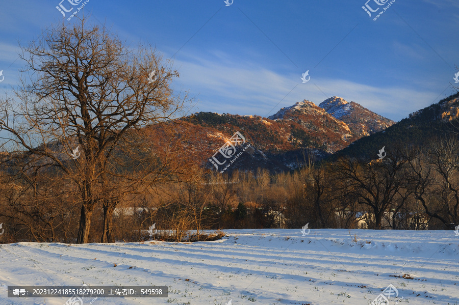 野外风景