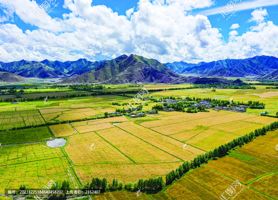 西藏秋天风景风光