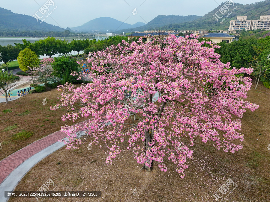 春暖花开