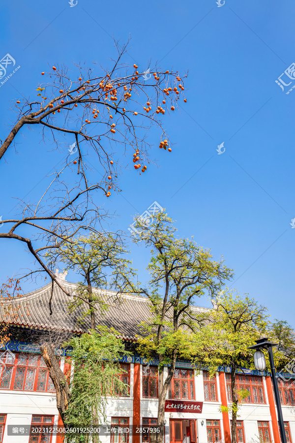 北京大学考古文博学院