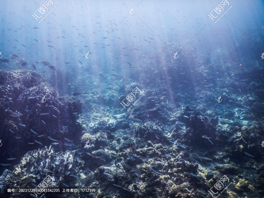 印尼巴厘岛罗威纳海底世界
