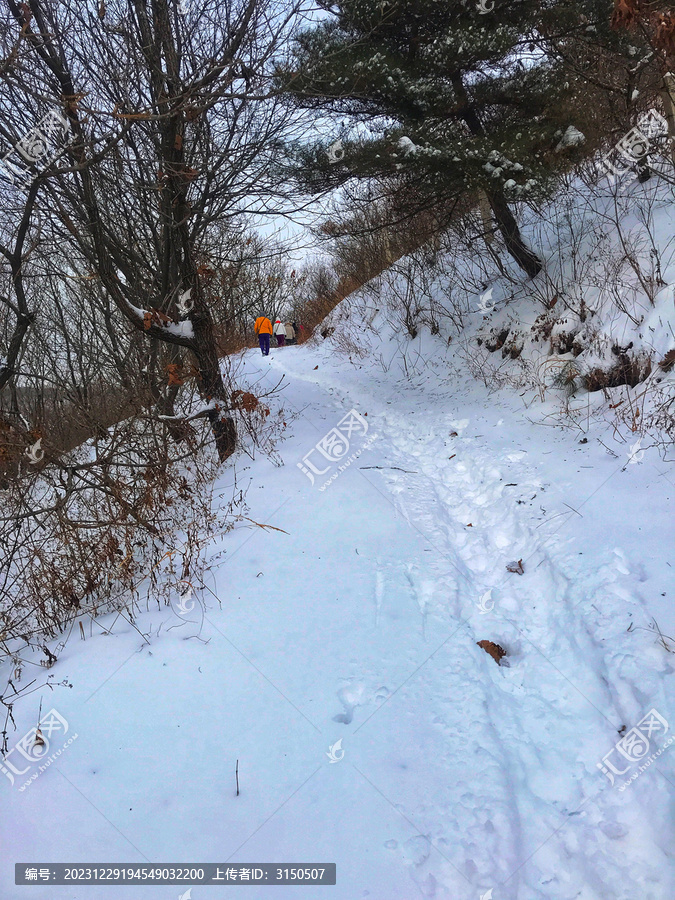 山中雪路