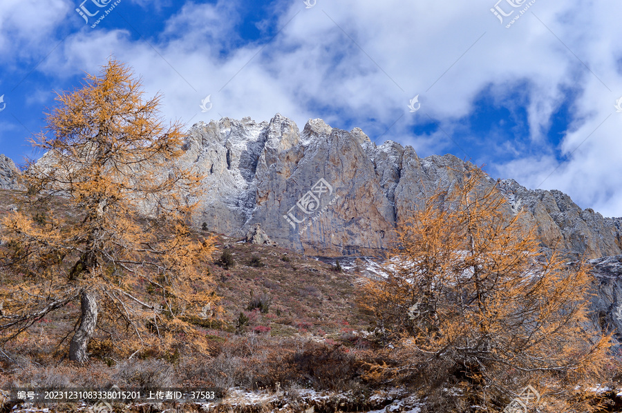 白马雪山