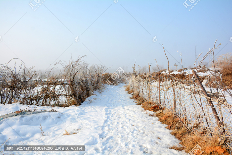 冬雪乡村