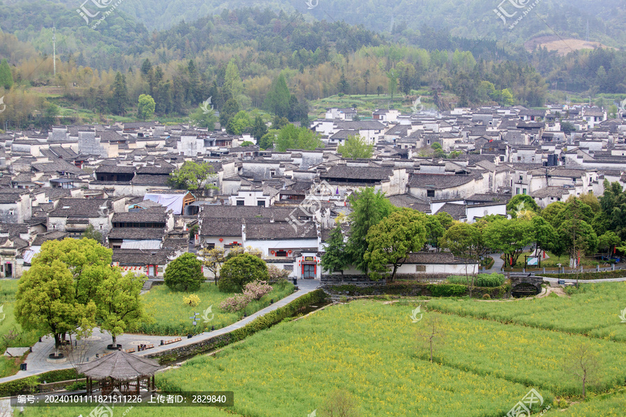 春天的安徽西递古村