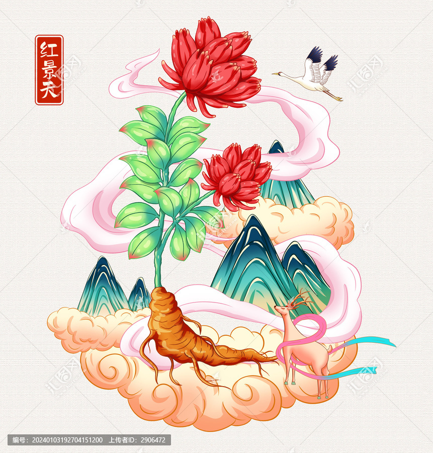 红景天插画手绘