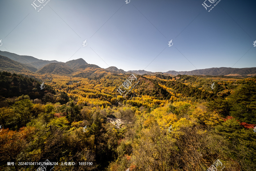 长满树木的大山