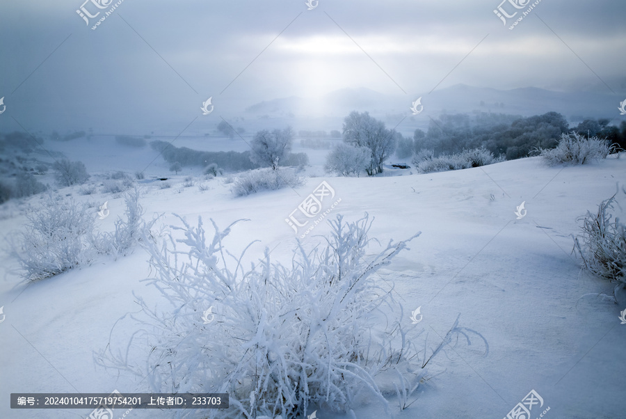 坝上雪景