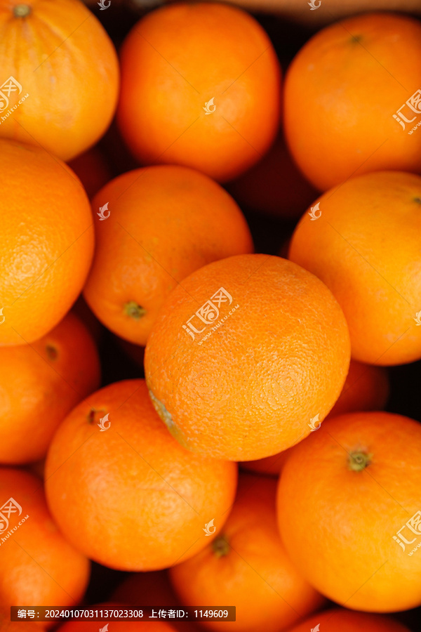 新鲜血橙