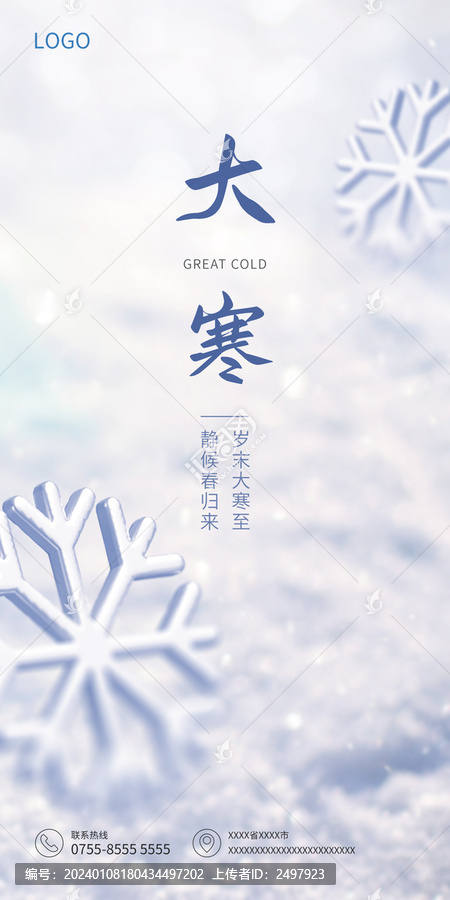 大寒雪花海报