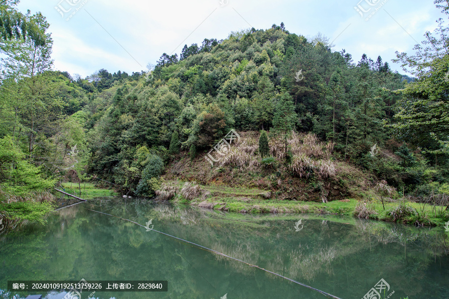 青山绿水