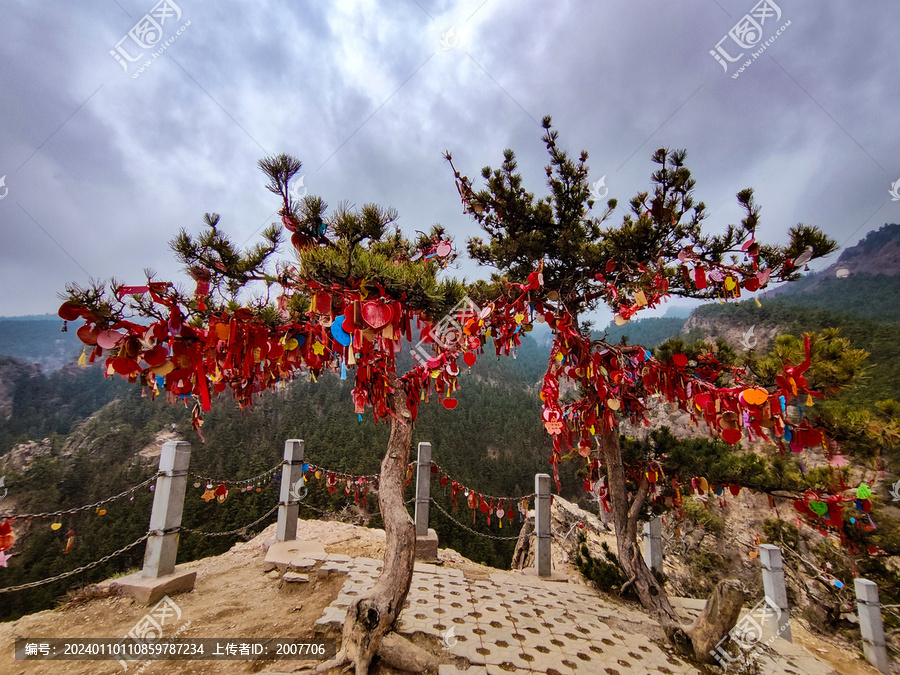 贺兰山祈福树