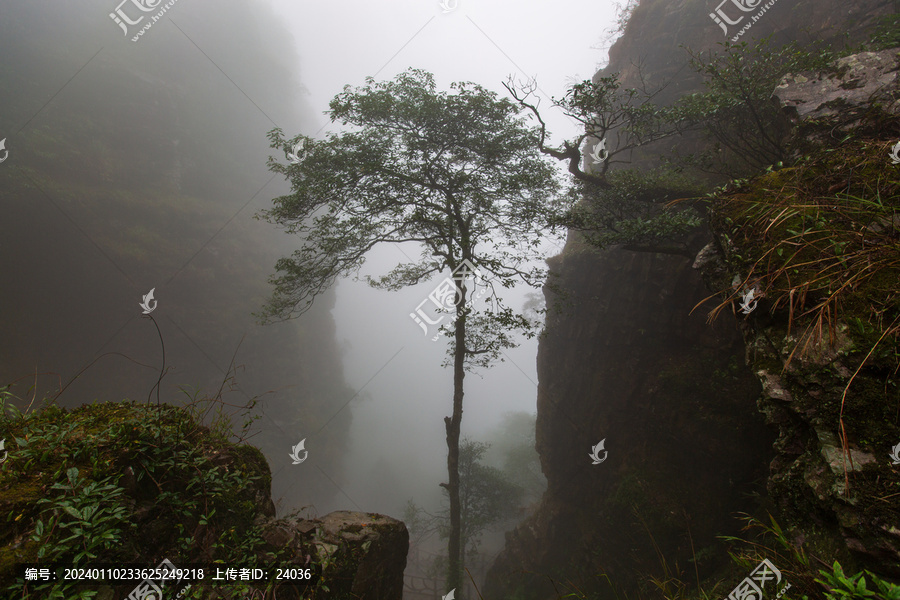 北帝山景区山涧风光