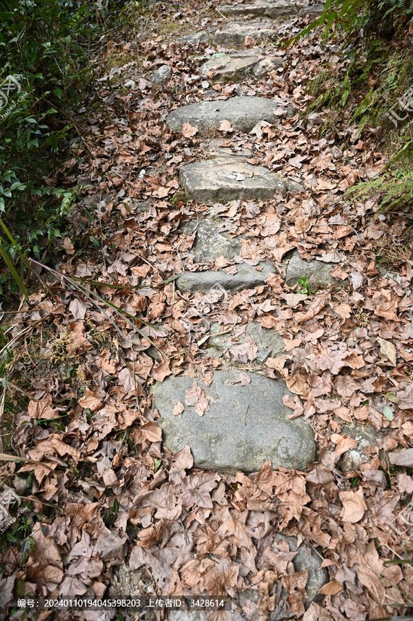 缙云县苍岭古道