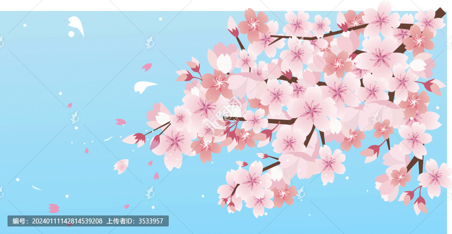 开满樱花的樱树