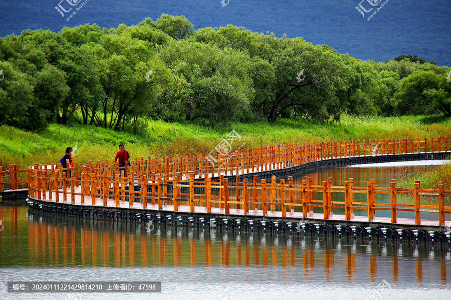 黑瞎子岛湿地木栈道