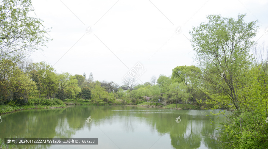 杭州西溪湿地春景