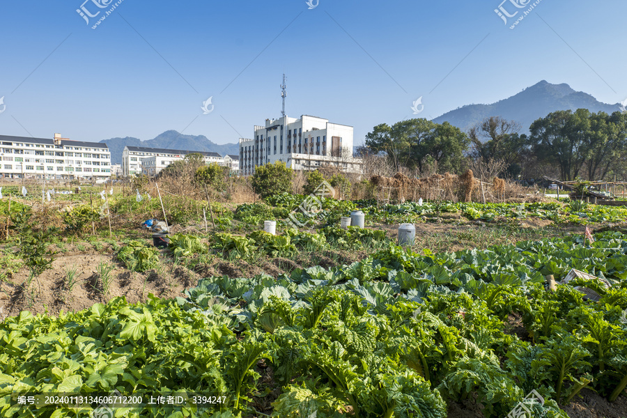 蔬菜园地种植区