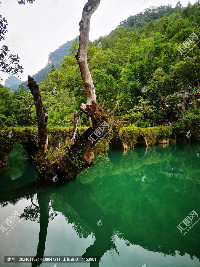 青山绿水