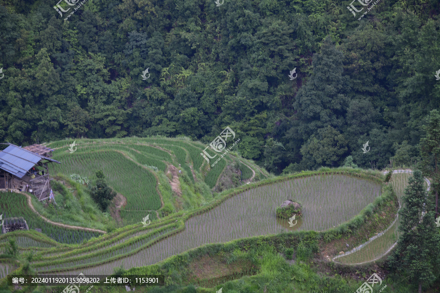 山区梯田