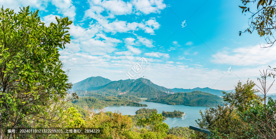 深圳淘金山绿道登山道风景