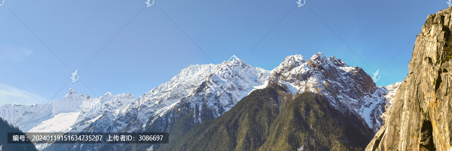 西藏易贡藏布森林雪峰