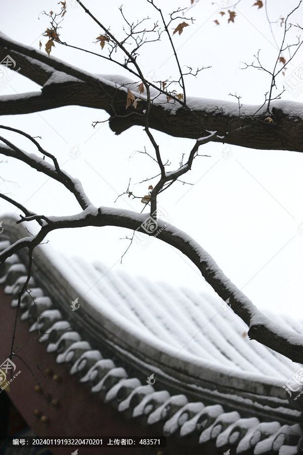 雪景