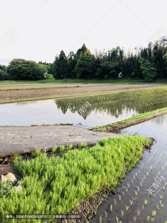 日本乡村生态风光