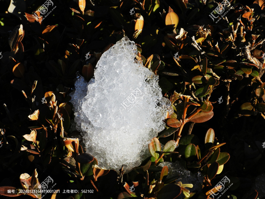 雪化成晶