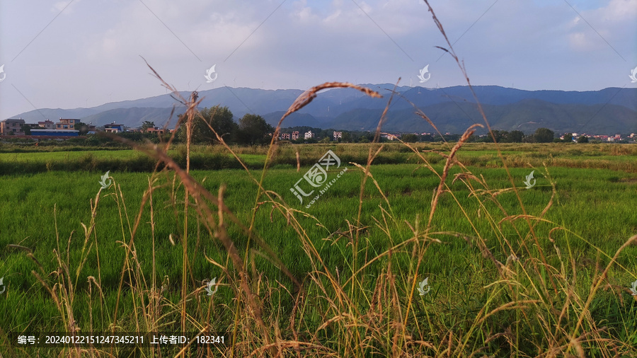 田园风光