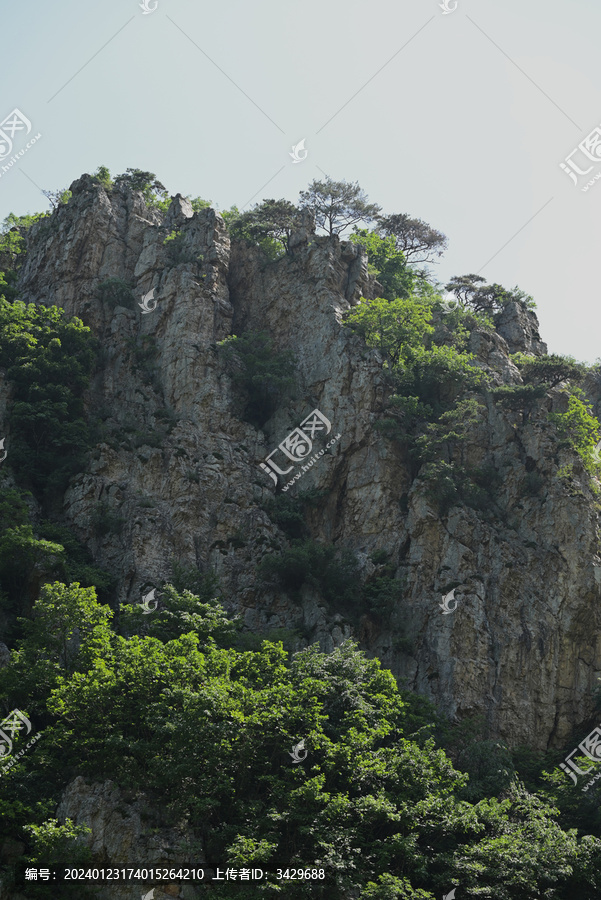 夏日山景