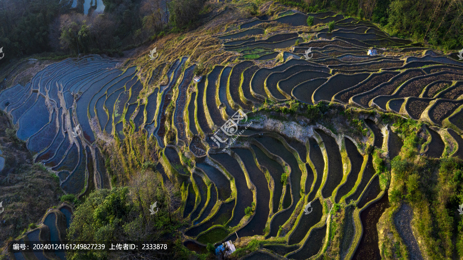 元阳梯田