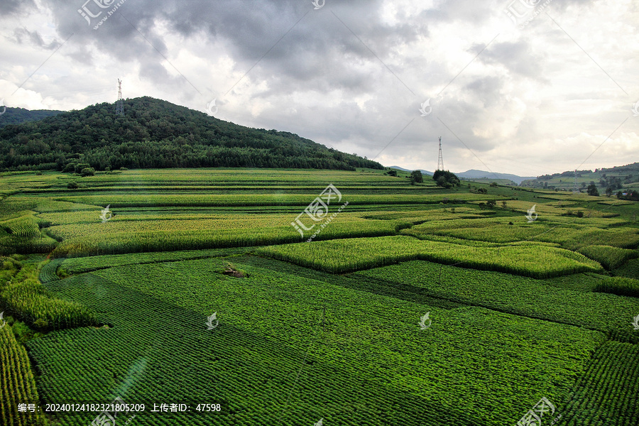 东北大地田地田野