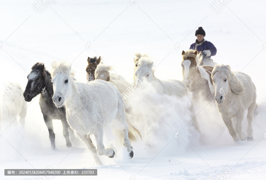 雪中奔马