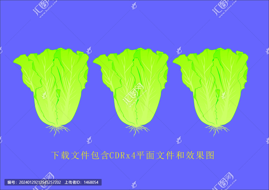 矢量生菜蔬菜植物花草蔬果