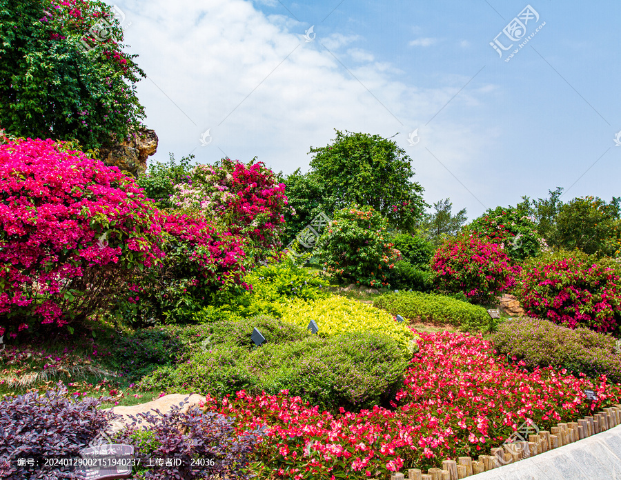 青秀山景区叶子花园