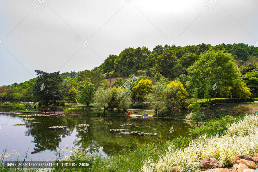 青秀山公园湖泊